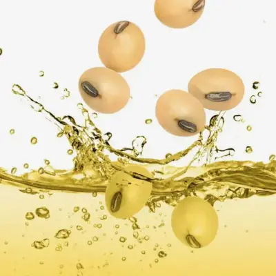 Incobrasa doubles soybean crush capacity with new Illinois plant