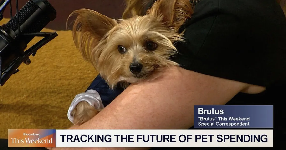 US Pet Market Set to Surpass $250 Billion in a Decade