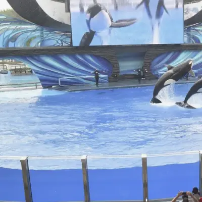 United Parks Loss Widens as Geopolitics, Weather Hit Attendance