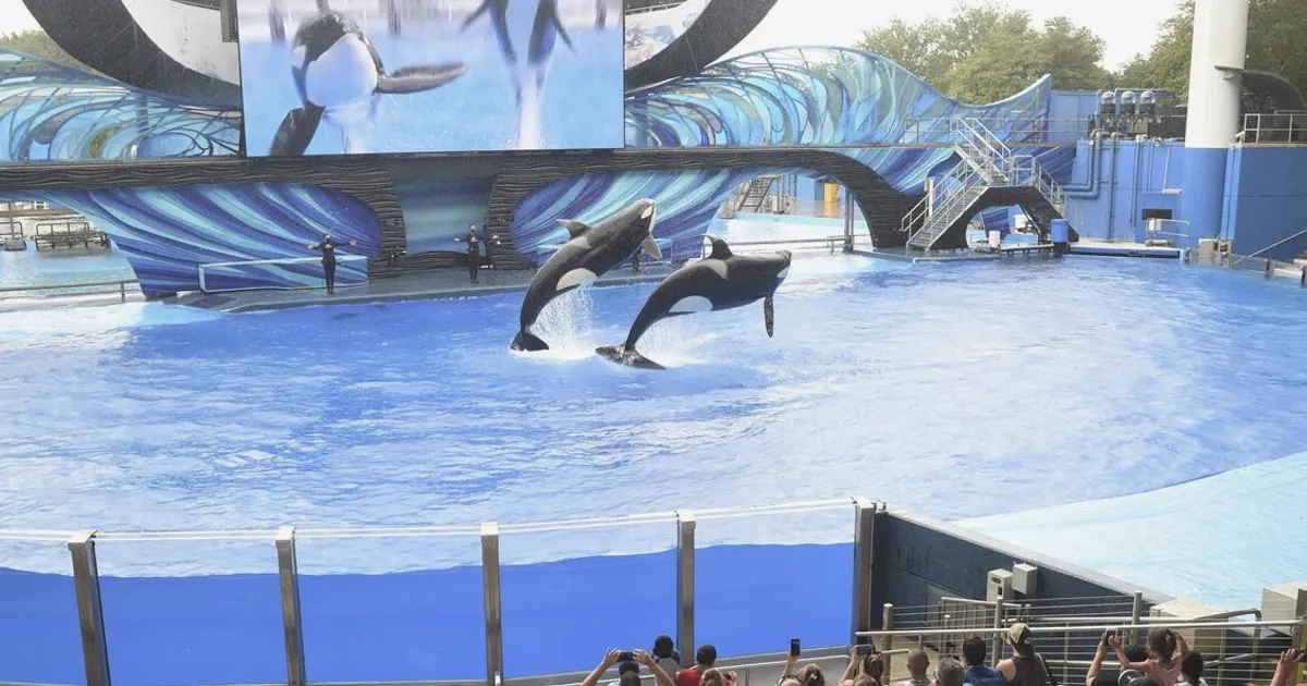 United Parks Loss Widens as Geopolitics, Weather Hit Attendance