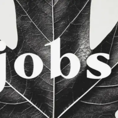 Canada adds 87.8K jobs in May, unemployment falls to 6.6%