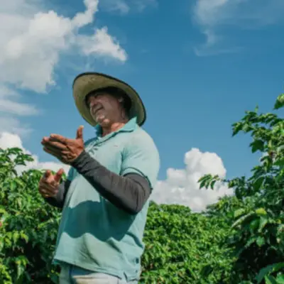 Brazil Coffee Farmers Adapt as Climate Shifts Threaten Harvests
