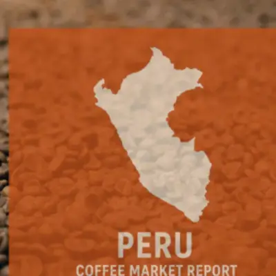Peru Coffee Output Steady at 4.78M Bags Despite Rust and Credit Hurdles