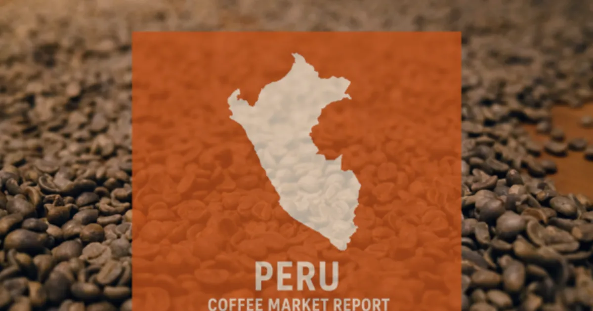 Peru Coffee Output Steady at 4.78M Bags Despite Rust and Credit Hurdles