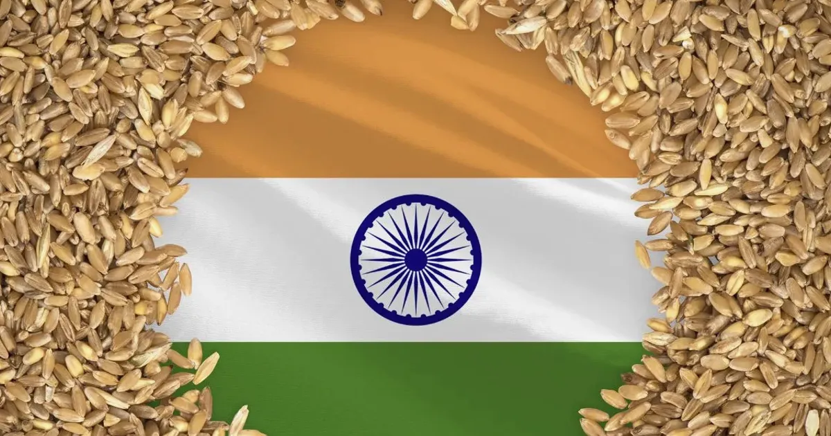 India grain output set to hit record high on corn surge