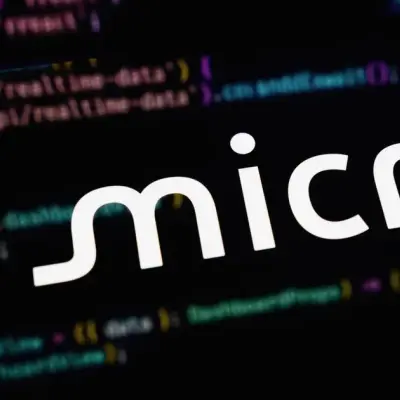 La hausse post-bénéfices de Micron presque effacée, traders divisés