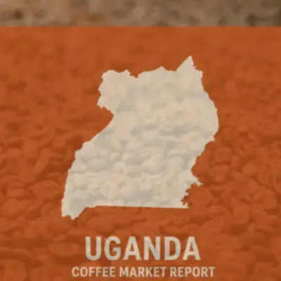 Uganda Coffee Output Edges Up as Government Pushes Processing Shift