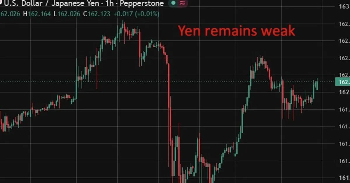 BOJ's Asada sets conditions for backing next rate hike, wants demand-driven inflation