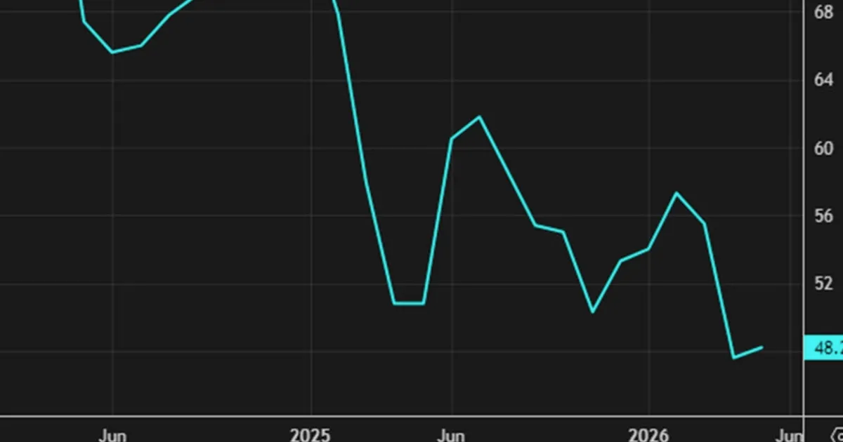 US Michigan Consumer Sentiment June Prelim 48.9 vs 46.0 Expected