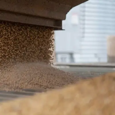 Soybeans Drift as China Buying Awaited After US Tariff Statement