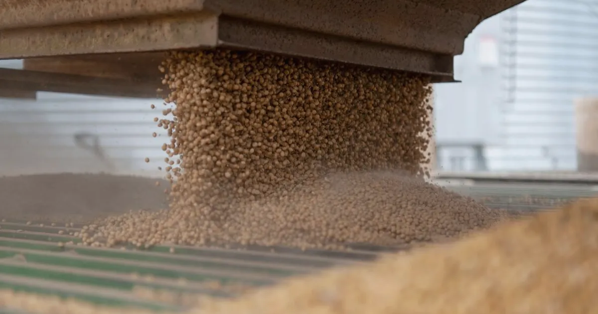 Soybeans Drift as China Buying Awaited After US Tariff Statement