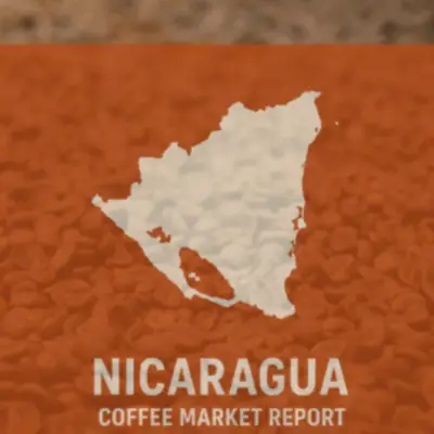 Nicaragua Coffee Output to Drop 4.7% on El Niño, Fertilizer Costs