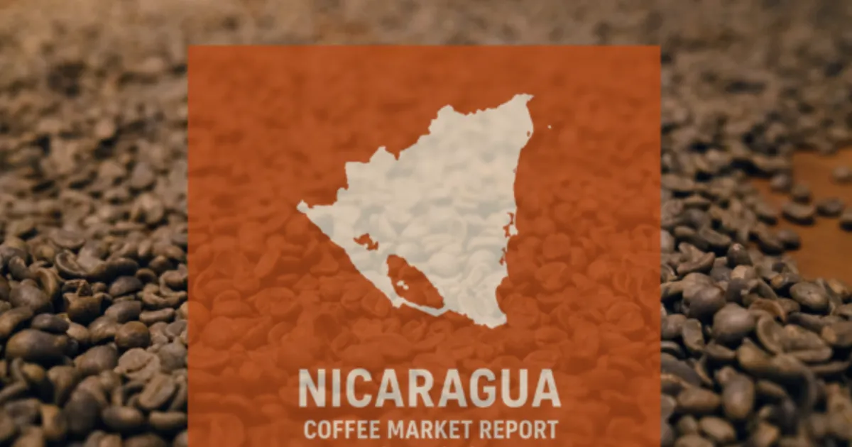 Nicaragua Coffee Output to Drop 4.7% on El Niño, Fertilizer Costs