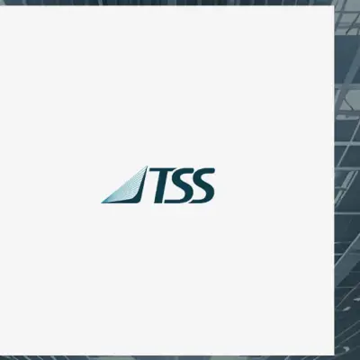 TSS Q1 Earnings Call Highlights: Key Takeaways for Traders
