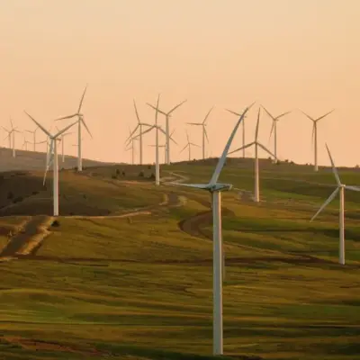Courts and Congress Push Back Against Trump's Wind Power Crackdown