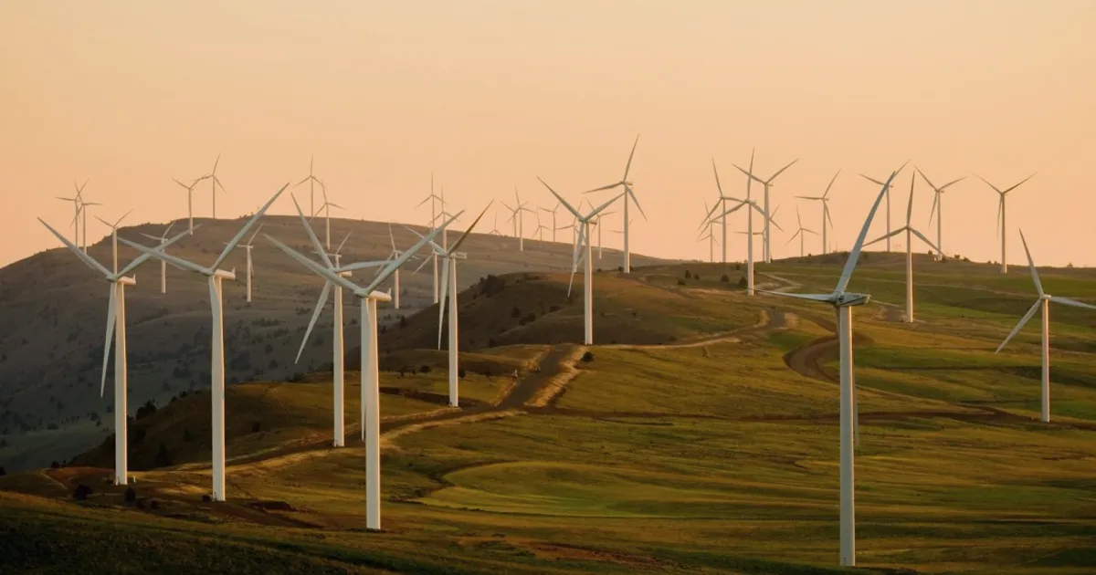 Courts and Congress Push Back Against Trump's Wind Power Crackdown