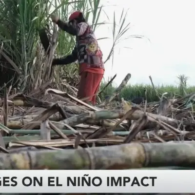 El Niño Threat Looms Over Sugar Prices as Inflation Pressures Build