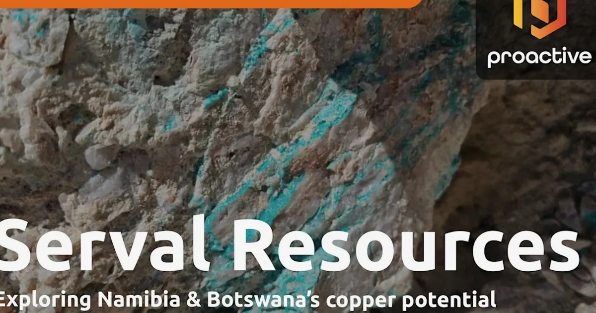 Serval Resources targets copper in Namibia, Botswana, Côte d'Ivoire