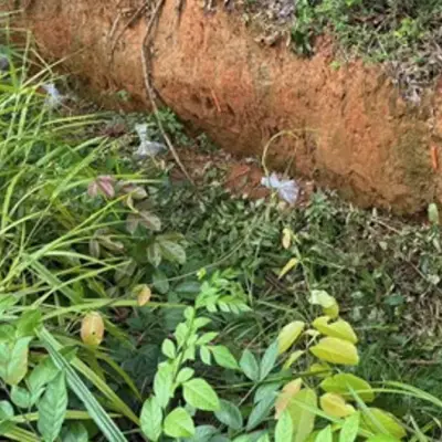 Sranan Gold Mobilizes Crews to Lawatino Project, Drilling Continues at Tapanahony
