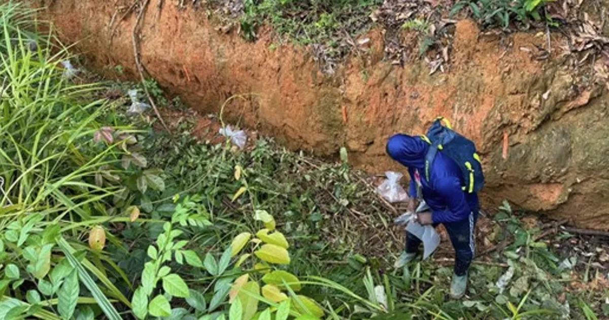Sranan Gold Mobilizes Crews to Lawatino Project, Drilling Continues at Tapanahony
