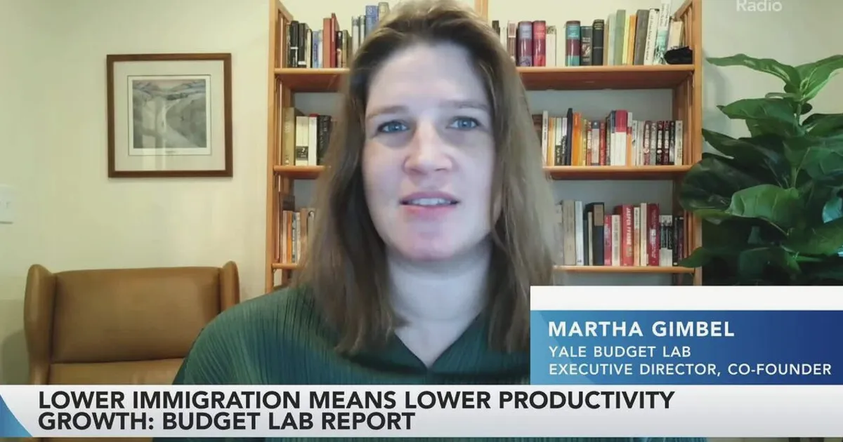 Yale Budget Lab Director Sees Immigration Policy Normalizing by 2029