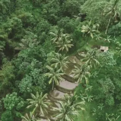 Fairtrade Launches Free EUDR Geolocation Tool for Coffee Cooperatives