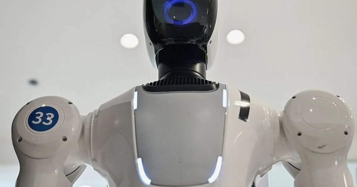 La Chine donne naissance à deux licornes robotiques alors que le financement du secteur reste solide