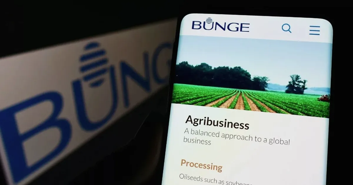 Bunge upgrades soybean facility in Italy to boost efficiency