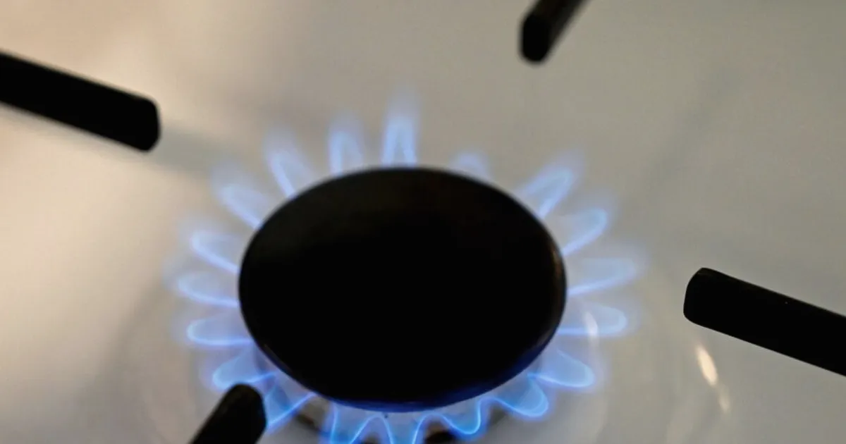French Gas Users Face Higher Bills as Network Costs Rise, Regulator Warns