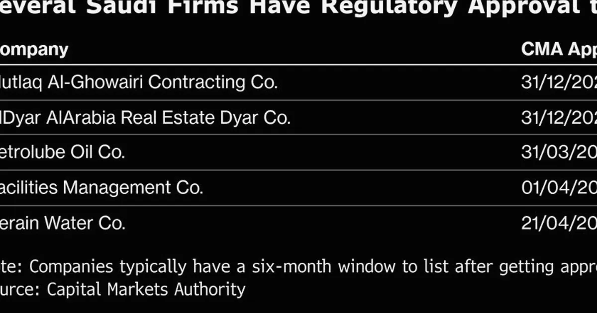 Saudi IPO Revival Gains Momentum as Billionaire Olayans, Tech Firms Plan Listings
