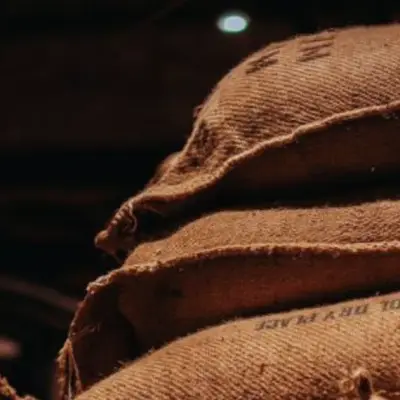 Coffee News: Jute Bag Specs and Borer Infestation Spread