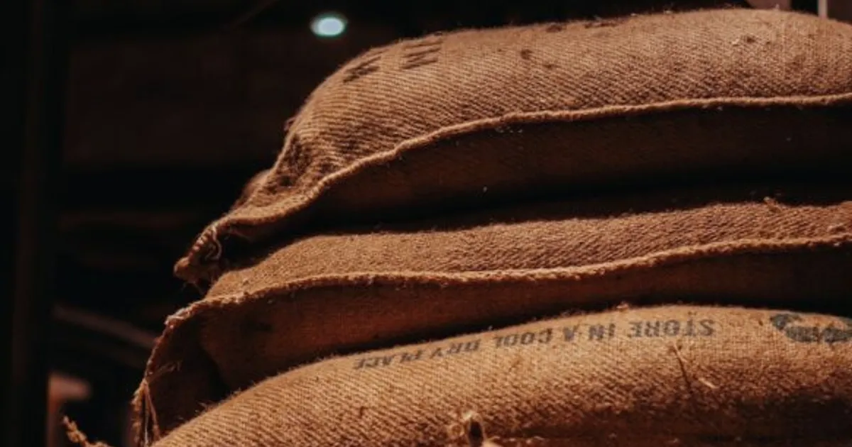 Café: Spécifications des sacs en jute et infestation de foreurs s'étend