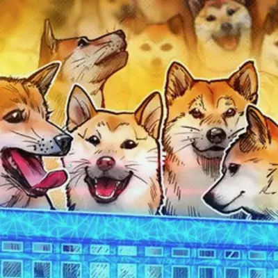 Dogecoin gets Paxos backing to boost institutional adoption