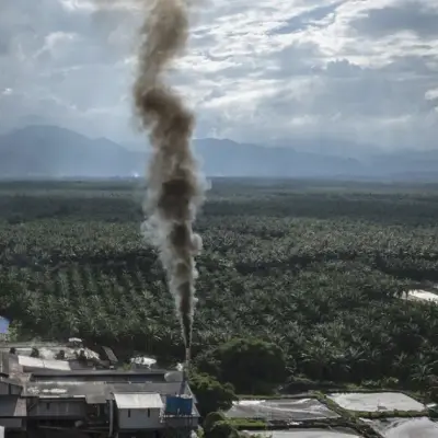 Indonesia Biofuel Mandate Strains Producers and Tightens Palm Oil Supply