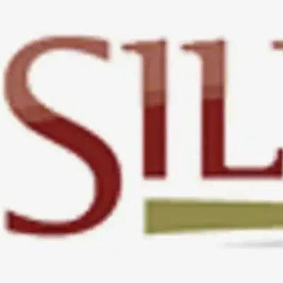 Silvercorp dépose son rapport annuel et le rapport technique d'El Domo