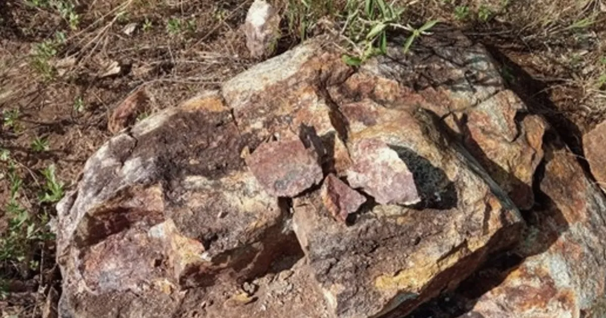 Brasnova Energy Materials inicia trabalhos de campo no Projeto de Ouro Capela no Brasil