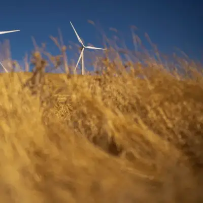 Conflicto en Irán impulsa interés en energías renovables, según prestamista multilateral