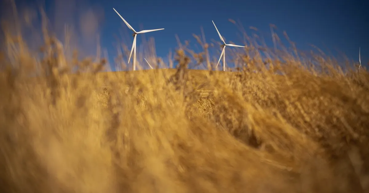 Conflicto en Irán impulsa interés en energías renovables, según prestamista multilateral