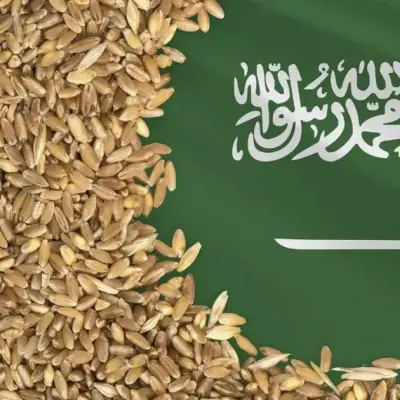 SABIL Unloads First Wheat Vessel at Saudi Arabia's Port of NEOM