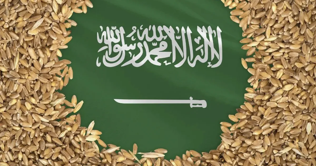 SABIL Unloads First Wheat Vessel at Saudi Arabia's Port of NEOM