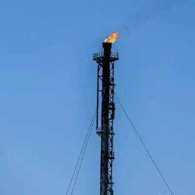 Equinor discutirá com Alemanha projetos de petróleo mais caros