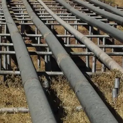 US crude inventories post another major draw, EIA data shows