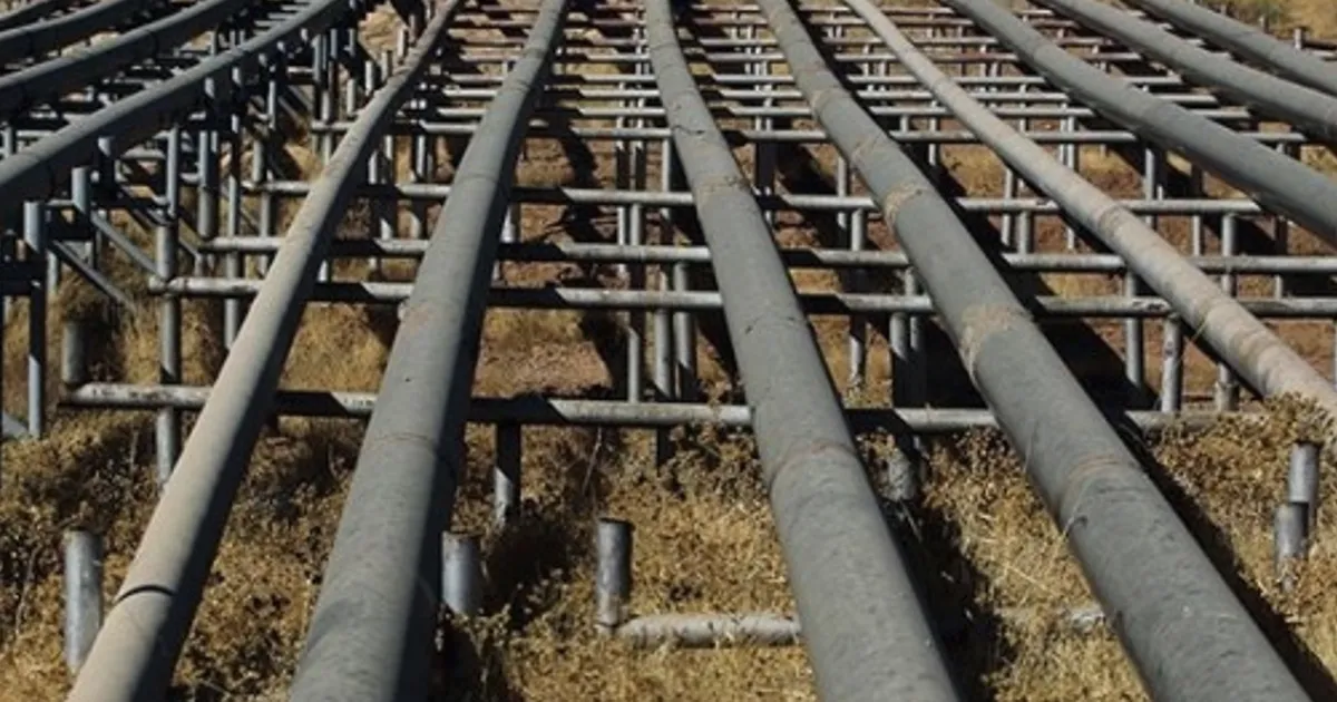 US crude inventories post another major draw, EIA data shows