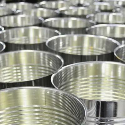 Constellium (CSTM) Valuation in Focus After Recent Share Price Rally
