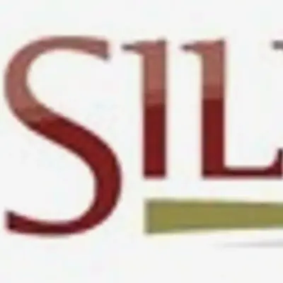 Silvercorp Gets Kyrgyzstan Gold Mine License Extension, Forms JV