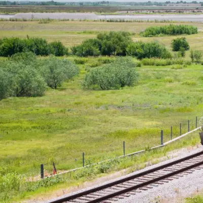Rotation du marché haussier : Josh Brown choisit des actions de transport bénéficiaires