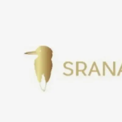 Sranan Gold otorga 3,9 millones de opciones sobre acciones a directivos y asesores