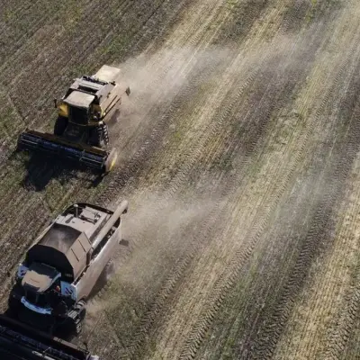 Russia Spring Wheat Planting Lags on Persistent Rain, Crop Risk Rises