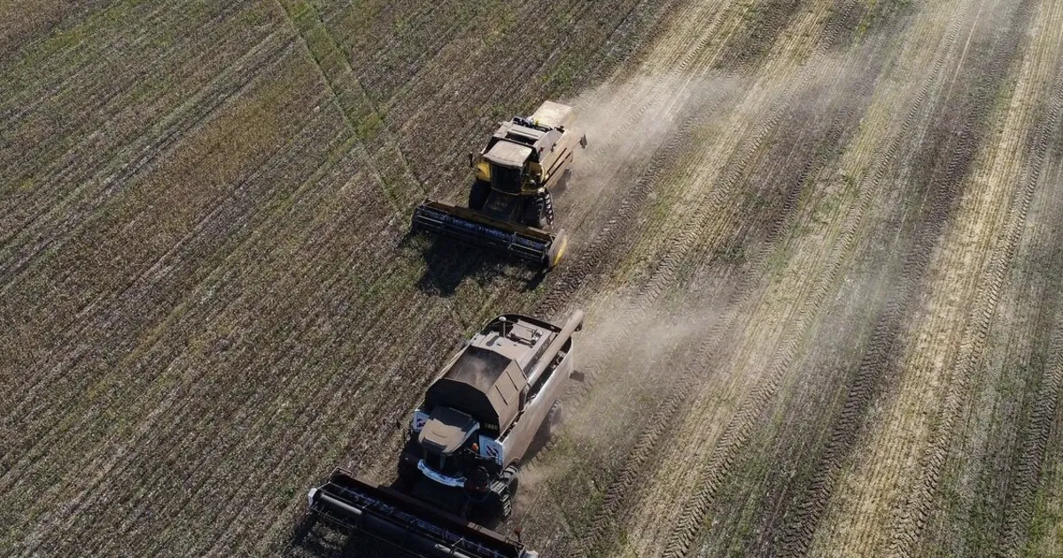 Russia Spring Wheat Planting Lags on Persistent Rain, Crop Risk Rises