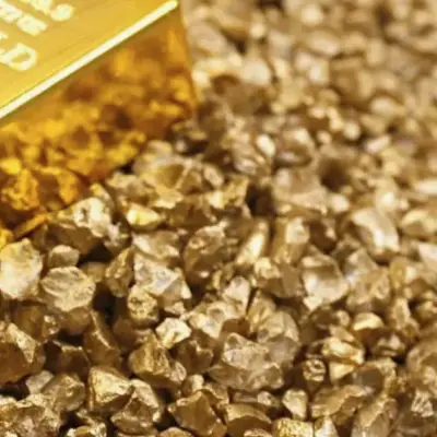 Wheaton Precious Metals Pullback Tests Growth Narrative Amid Valuation Split